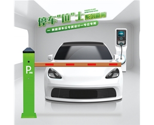 武城RG-CW系列车位小道闸